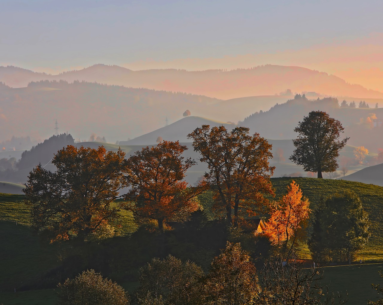 Green - free online jigsaw puzzle photo