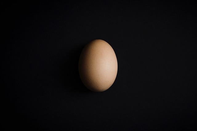 Free Raw Egg photo and picture