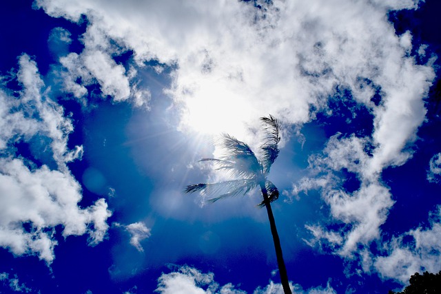 Free Sunny Sky photo and picture