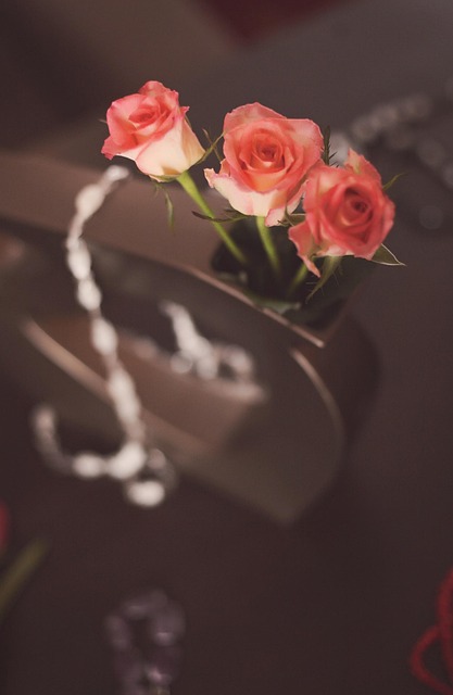 Free Flowers Roses photo and picture