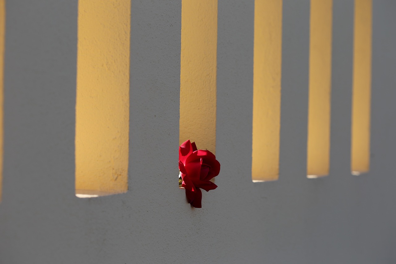 10er-Set Fensterumschläge Mit Rosen-Motiv – 80 G/qm, DIN Lang, Für Laser- & Tintenstrahldrucker