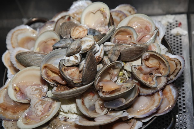Gegrillte Muscheln, Muschel, Lilie