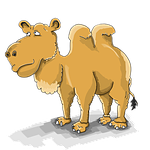 camel, cartoon, the mehari