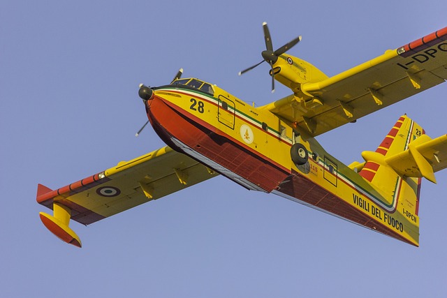 Free Canadair Fire Bomber photo and picture