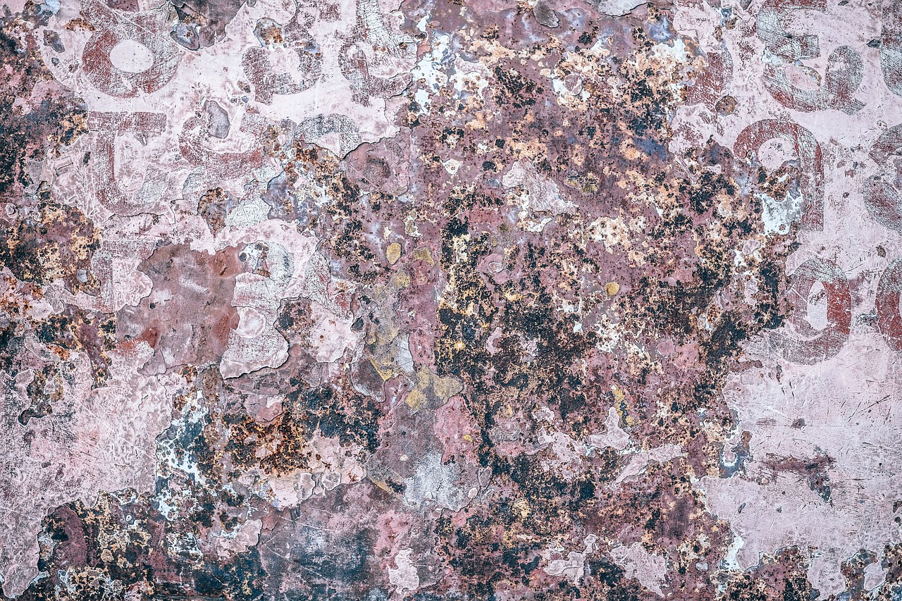Wall - free online jigsaw puzzle photo