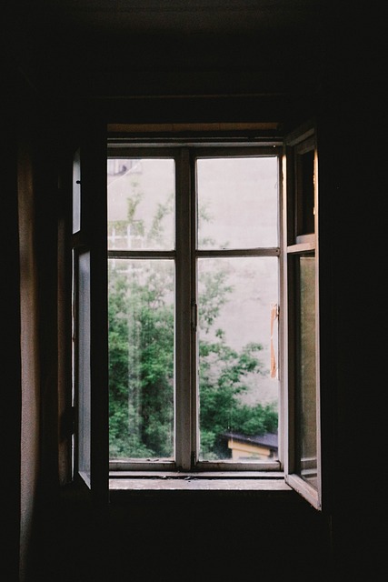Free Dark Window photo and picture