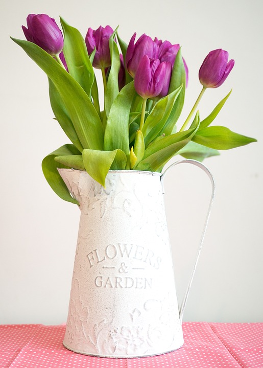 violet tulip pitcher garden interior flower pink