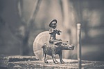 buffalo rider, buffalo, rider