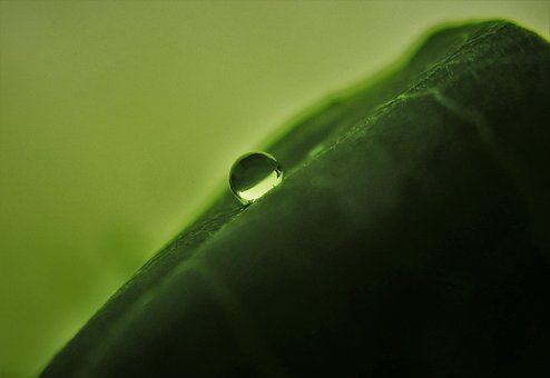 Makro, Makro Wassertropfen