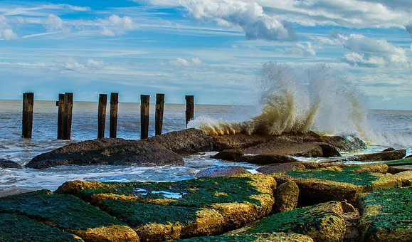 Paisagem Marítima, Costa, Aceno, Litoral