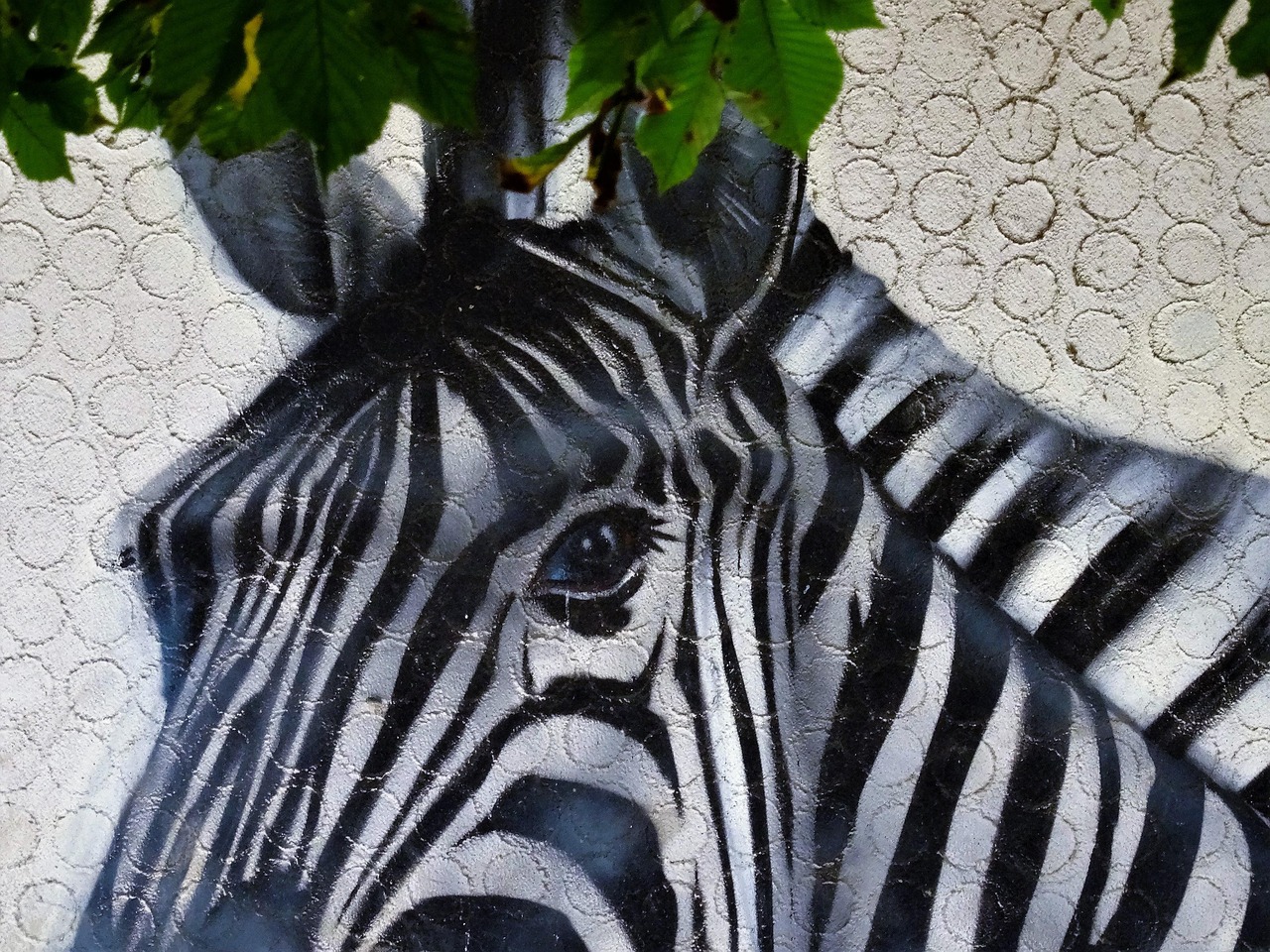Zebra Painting Wall Free photo on Pixabay Pixabay