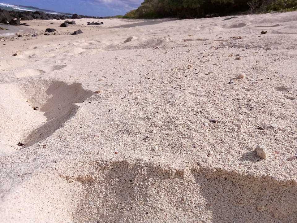 Sable Plage De La - Photo gratuite sur Pixabay - Pixabay