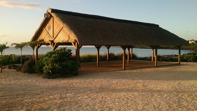 Free Sand Beach photo and picture