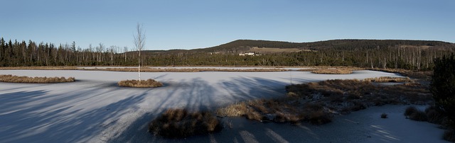 Land, Schnee, Eis, Bäume, Frost