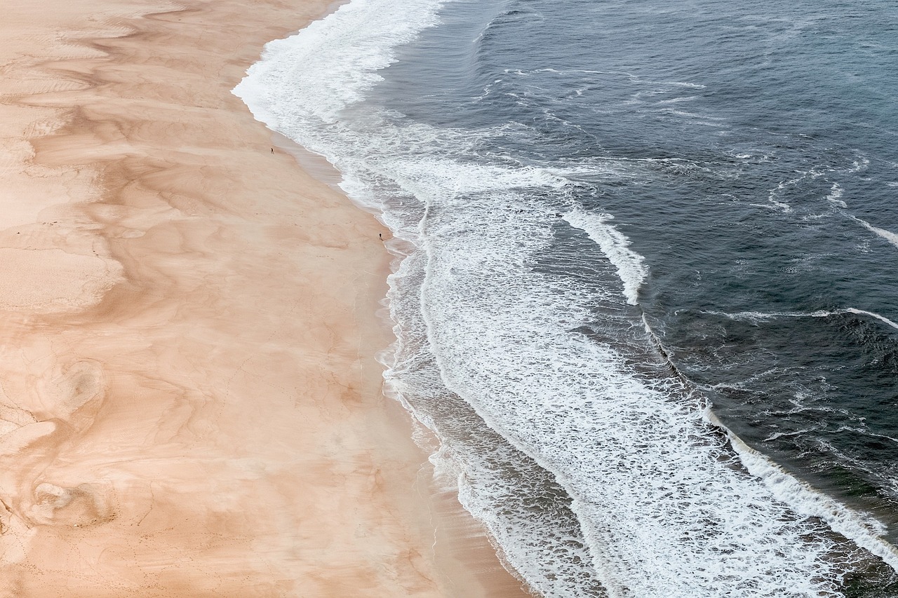 Nature Terre L'Eau - Photo gratuite sur Pixabay - Pixabay