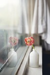 flower, vase, interior