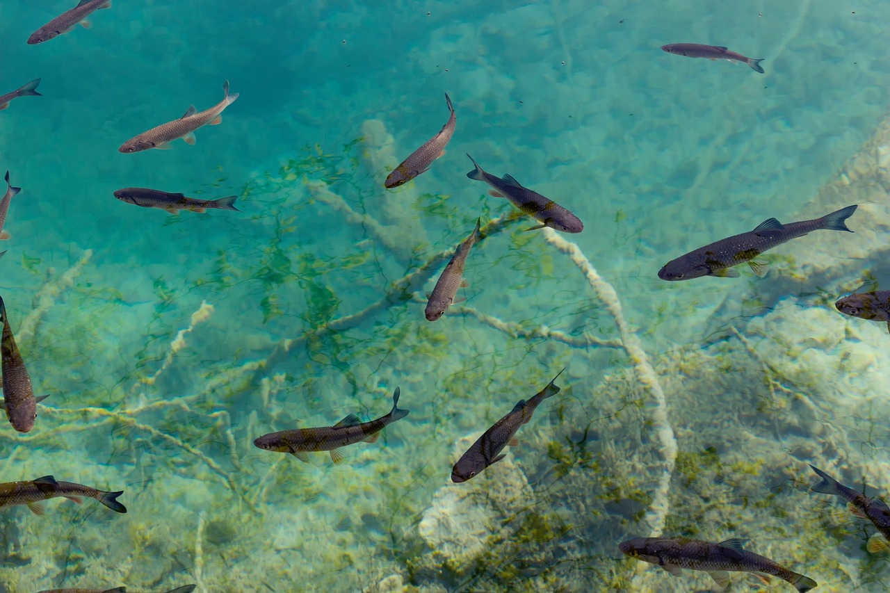Water - free online jigsaw puzzle photo