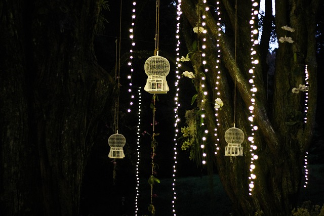 Free Night Lights photo and picture