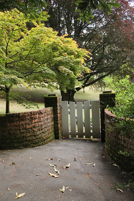 Free Garden Secret photo and picture