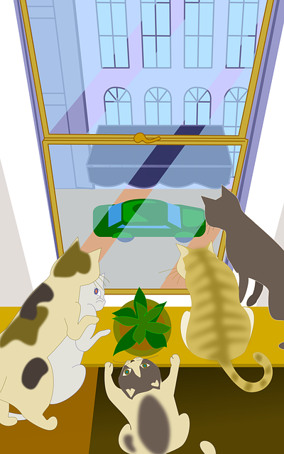Katten, Windows, Merk Følgende