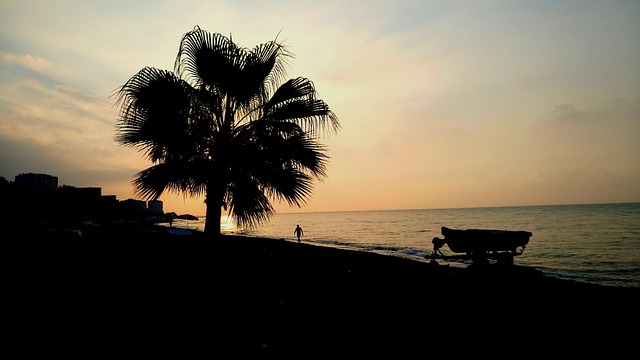Free Sunrise Yellow Iron photo and picture