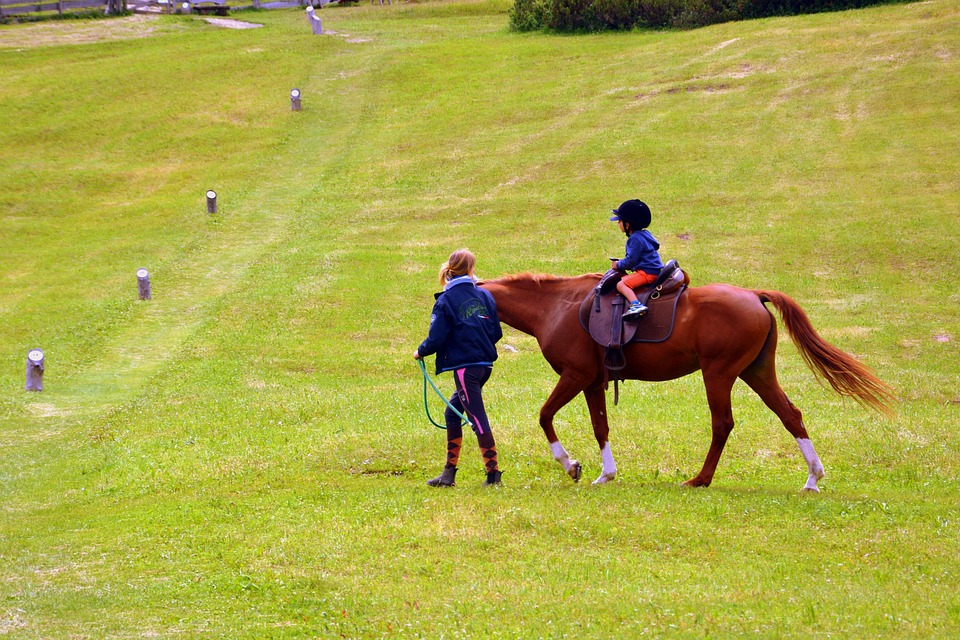Horse Racing Ride Horse Racing Ride - Free photo on Pixabay
