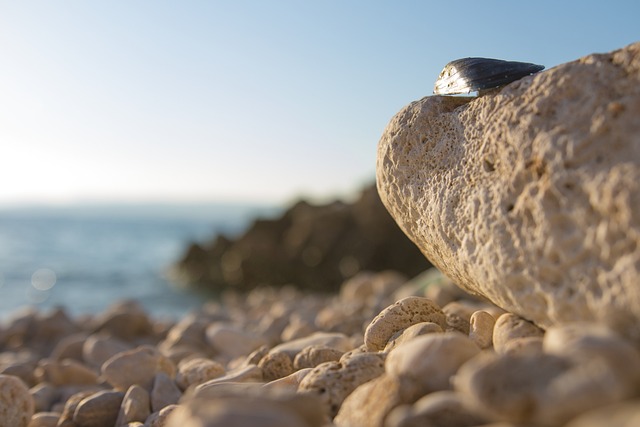 Free Sea Sun photo and picture