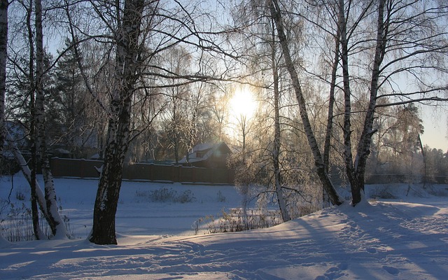 Free Winter Snow photo and picture