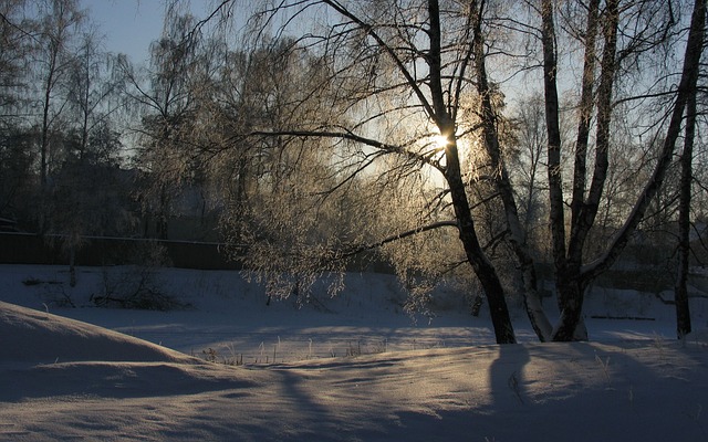 Free Winter Snow photo and picture