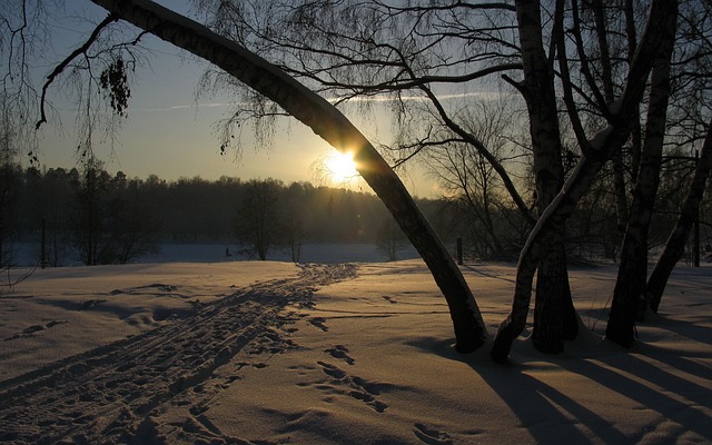 Free Winter Snow photo and picture