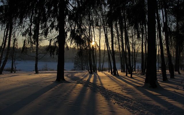 Free Winter Snow photo and picture