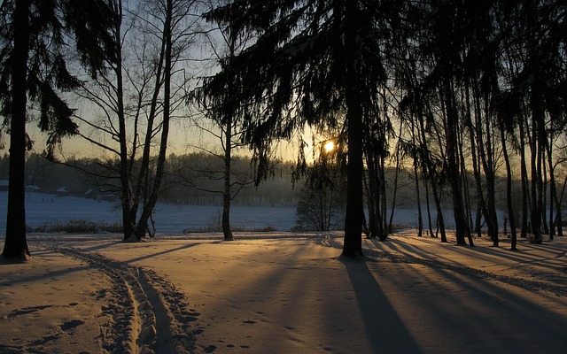 Free Winter Snow photo and picture
