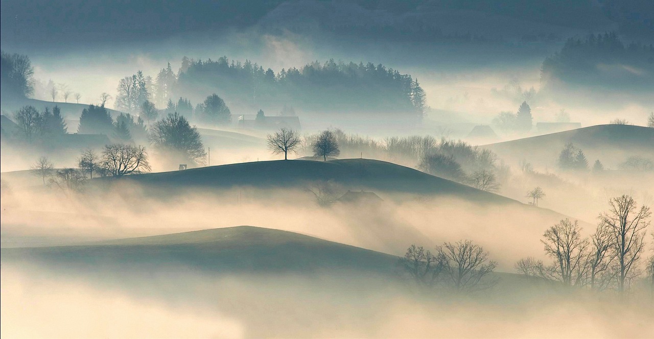 Plus De 20 000 Images De Brouillard Et De Nature Pixabay