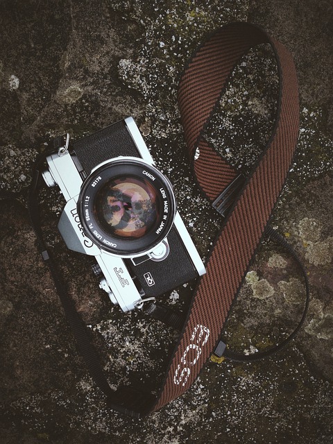 Free Camera Lens photo and picture