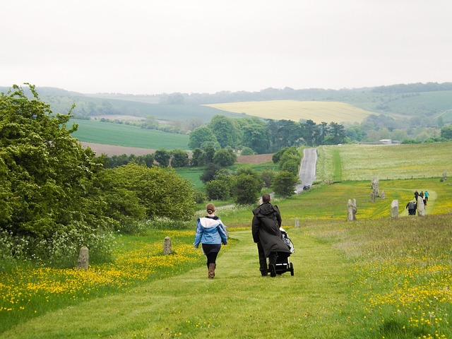 Free Walk Countryside photo and picture
