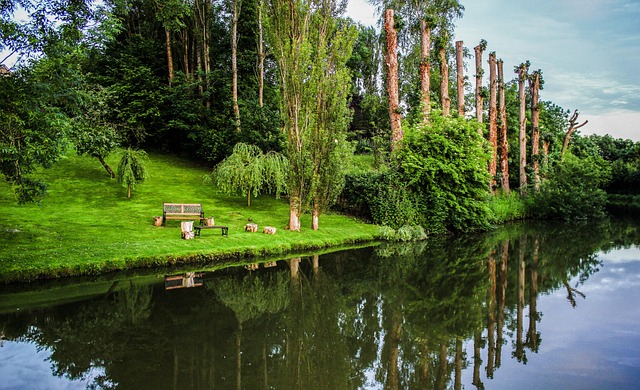 Free Canal Reflection photo and picture