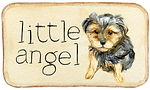 dog, puppy, yorkie