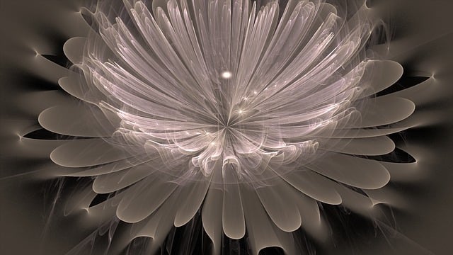 Fraktal, Blomst, Design, Natur, Mønster