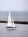 sail, boat, sailing