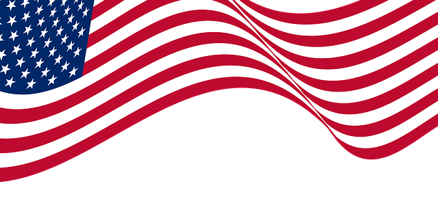 Free flag usa america illustration