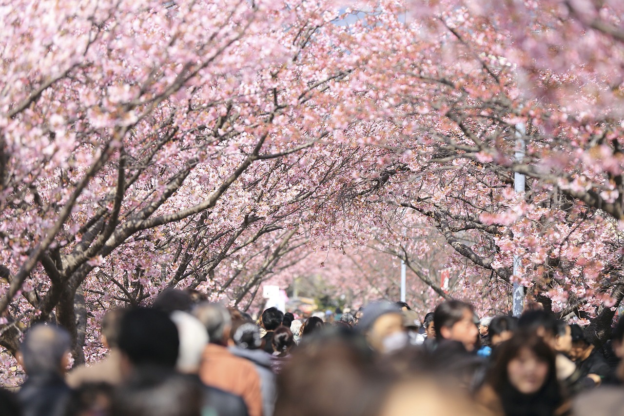 日本自由行旅游攻略