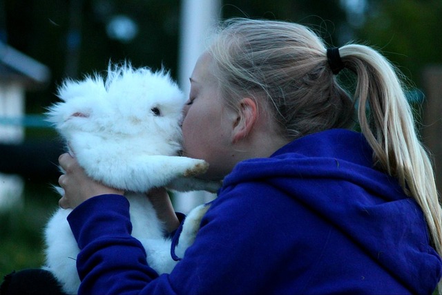 Free Kiss Rabbit photo and picture