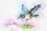 bird, animal, flowers