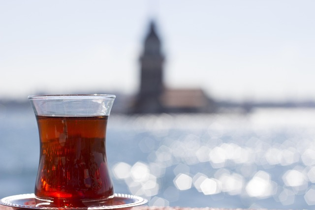 Free Istanbul View photo and picture
