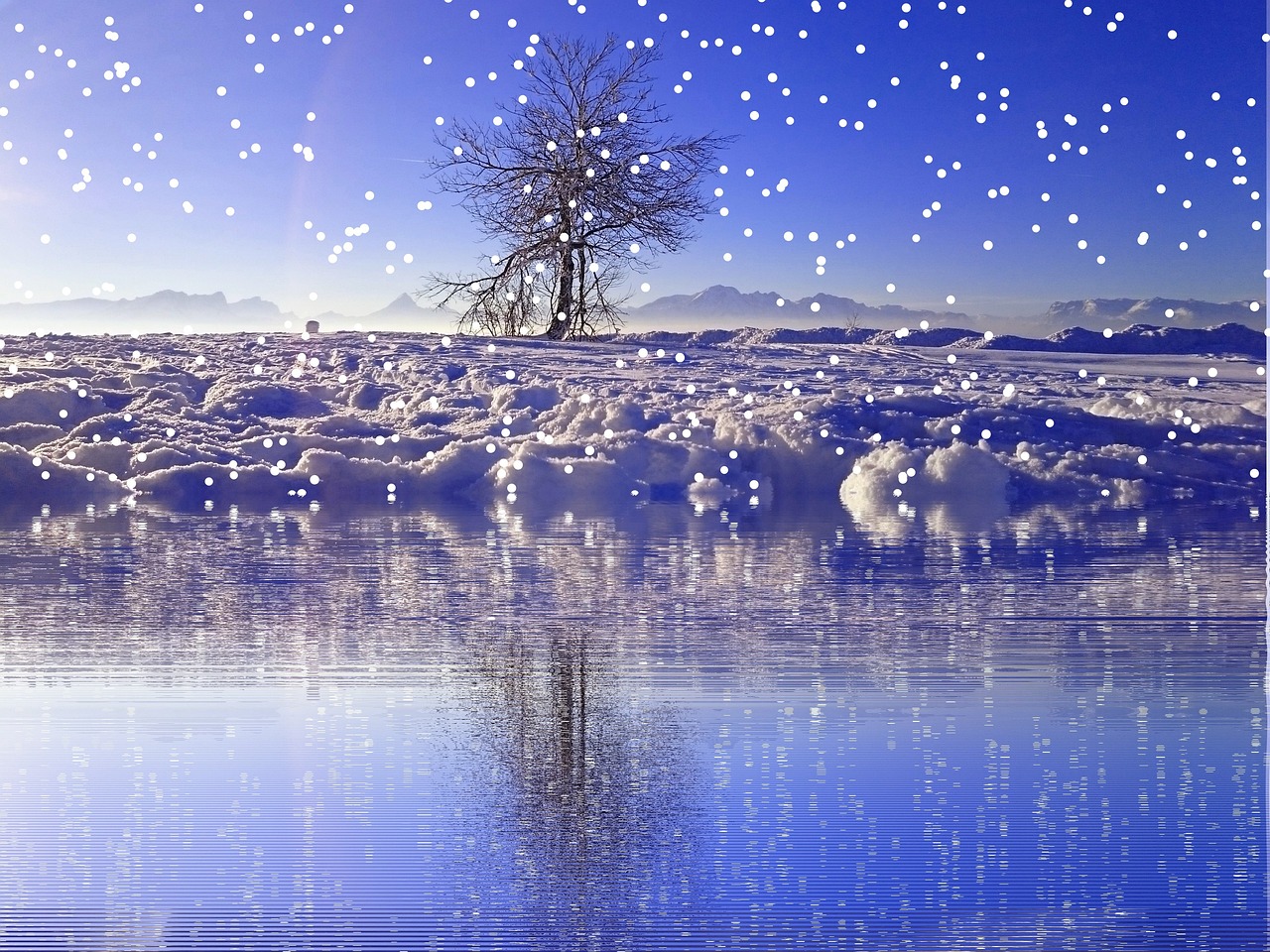 冬 雪 降雪 - Pixabayの無料写真 - Pixabay