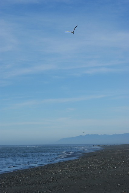 Free Beach Nature photo and picture