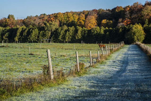 Free Country Rural photo and picture