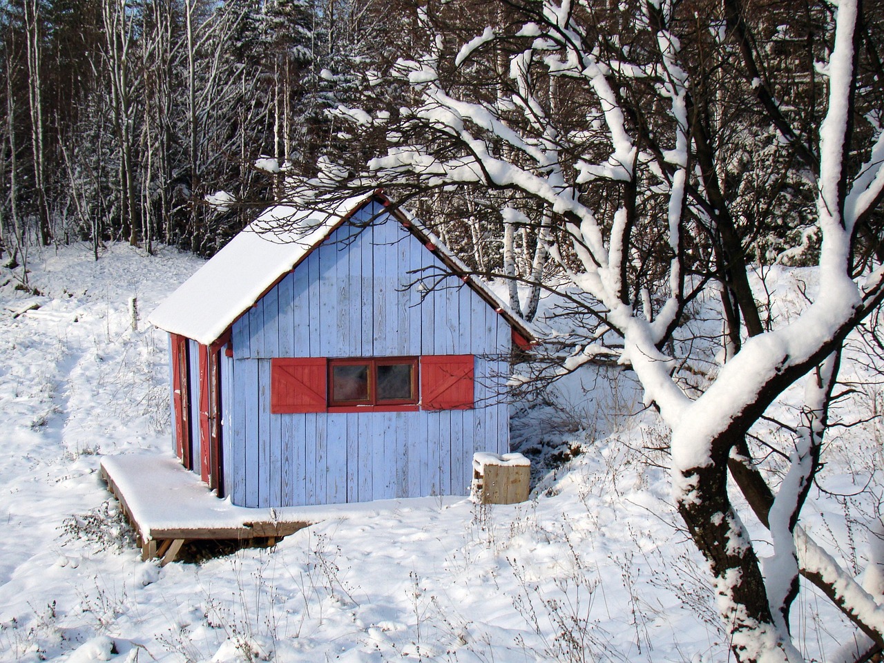 Winter - free online jigsaw puzzle photo