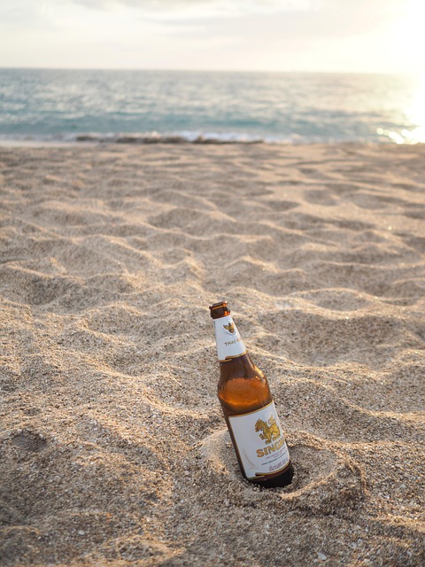 Free Beer Sea photo and picture