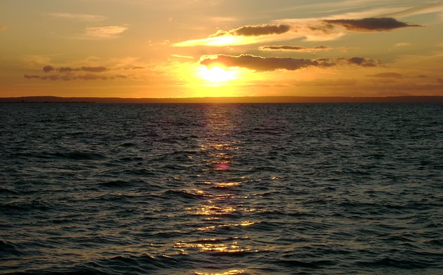Free Summer Sea photo and picture
